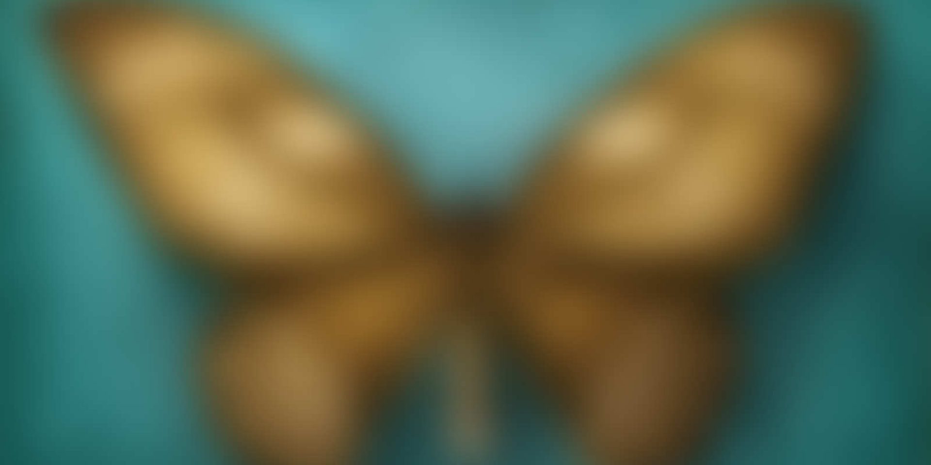 EASY SLIDER HOMEPAGE